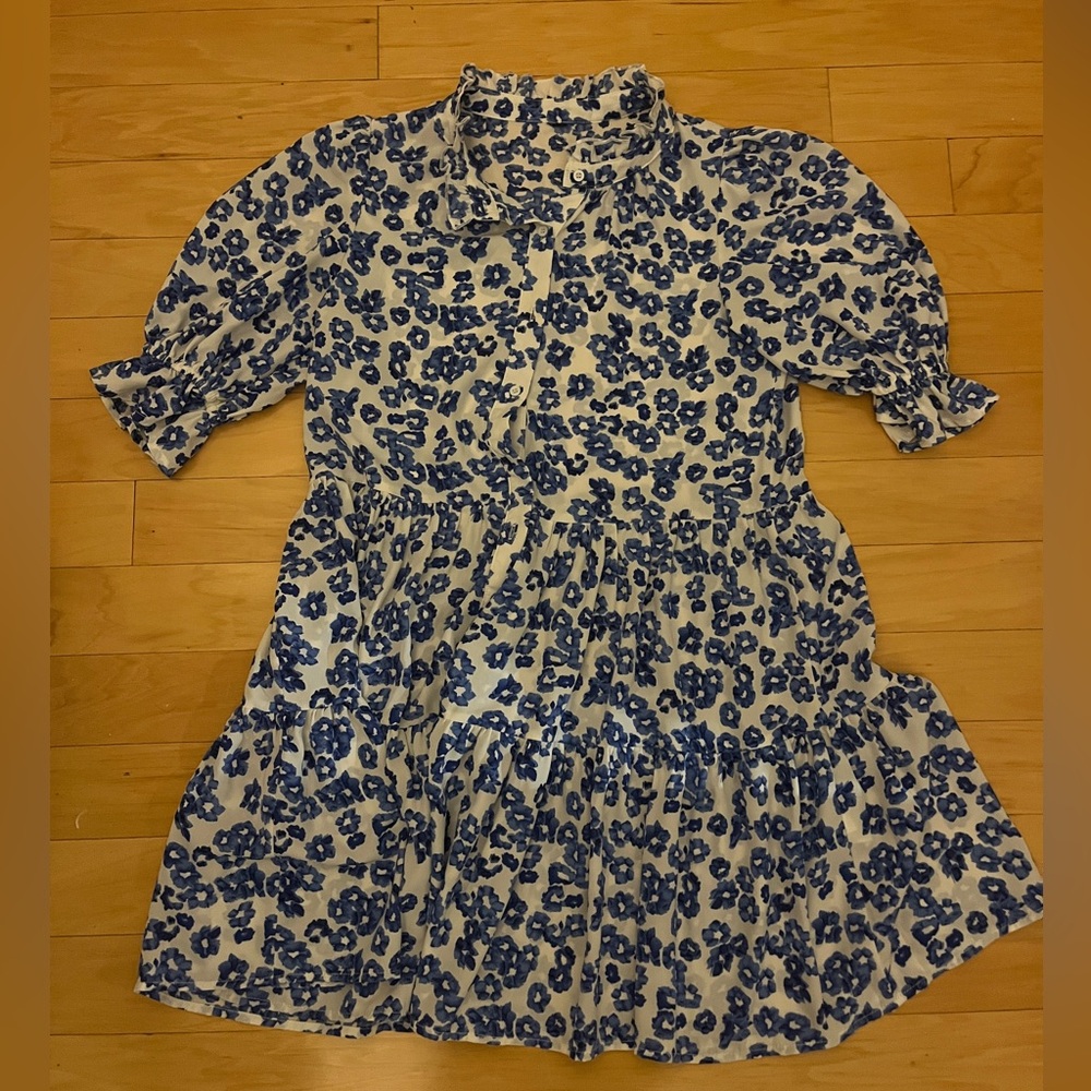 Floral Blue and White Dress